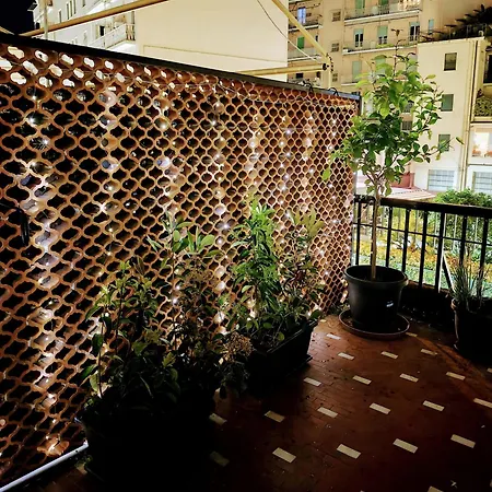 Foce 24 - Garden 2 - *