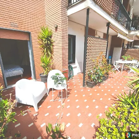 Foce 24 - Garden 2 -