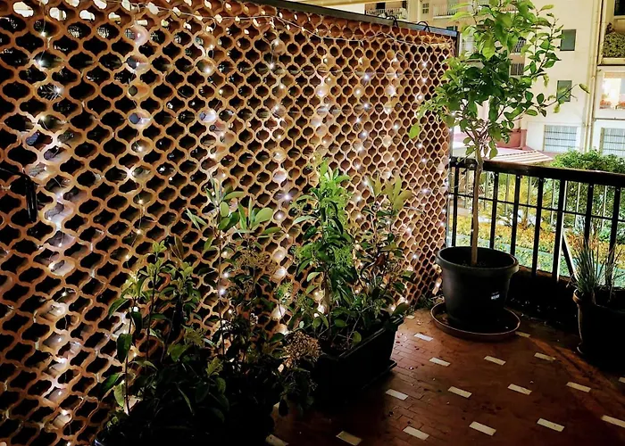 Foce 24 - Garden 2 - *